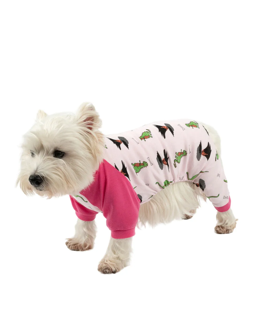 Dog Pink Dinosaur Pajamas