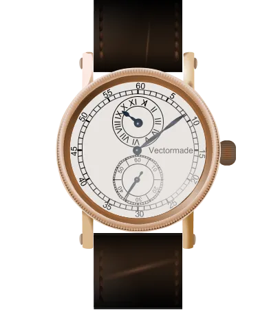 Women's Easy Reader Brown Leather Strap Watch